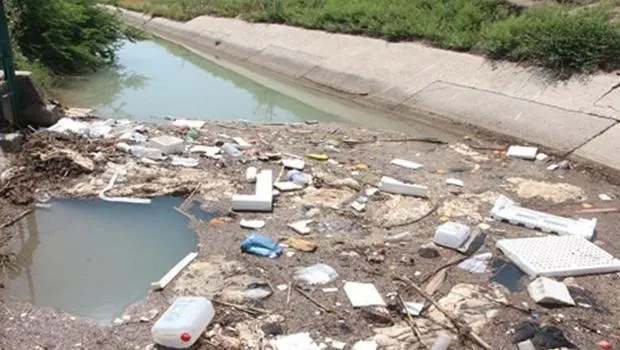 Adana'da Kurban Atıkları Alarmı: Uzmanlardan Şok Uyarı!