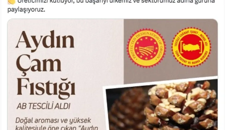 Aydın çam fıstığına AB'den coğrafi işaret tescili