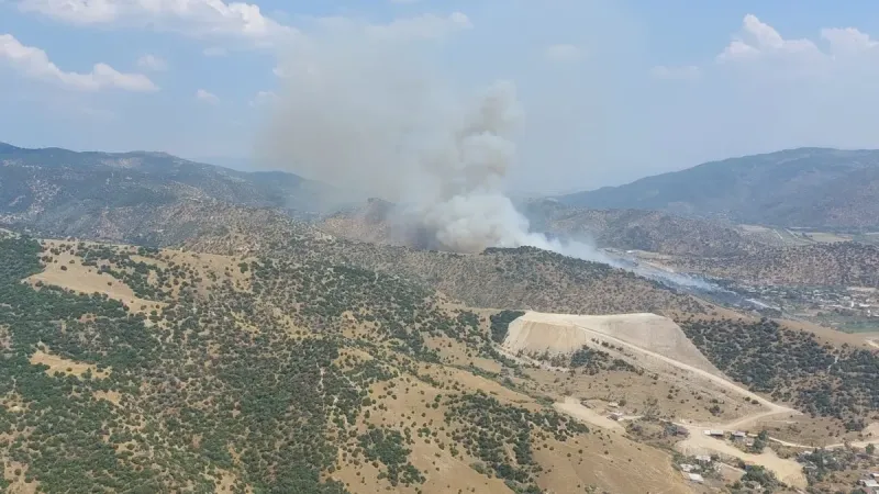 Aydın'da Korkutan Yangın! Ormanlar Alevlere Teslim Mi Oldu?