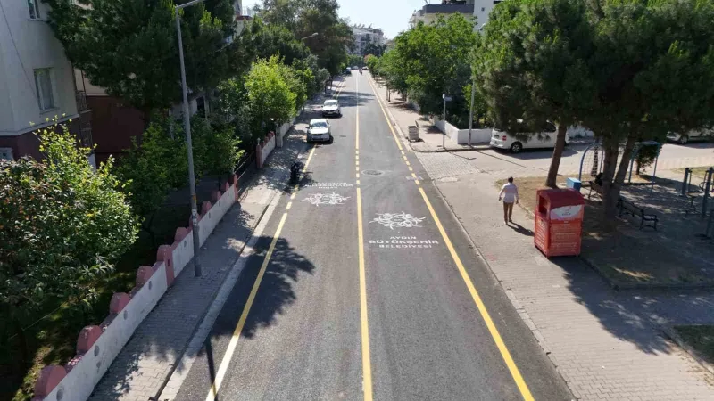 Aydın'da Yollar Yenileniyor! Çerçioğlu'ndan Müjde