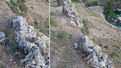 Şırnak'ta Şaşırtan Anlar: Dağ Keçileri Köye İndi!