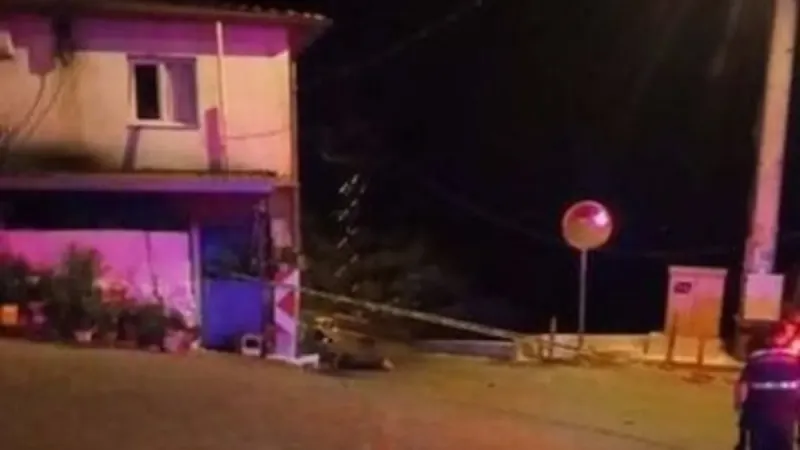 Eski muhtar üç kardeşi arazi sebebiyle öldürdü