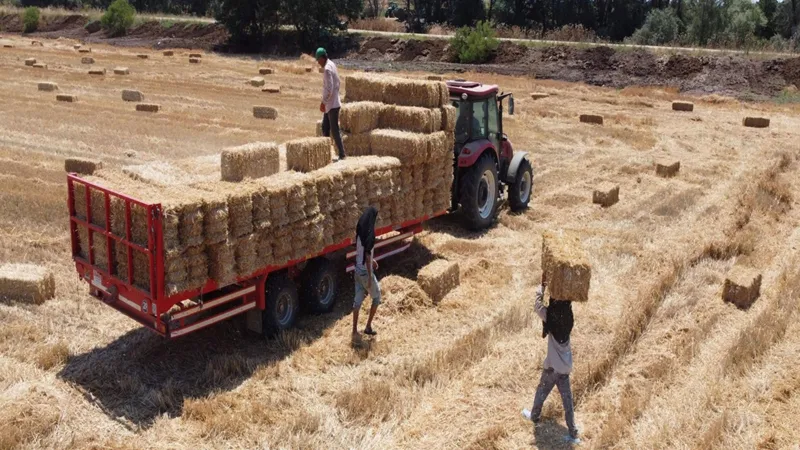 İşçiler kavurucu sıcakta ekmek parası kazanıyor