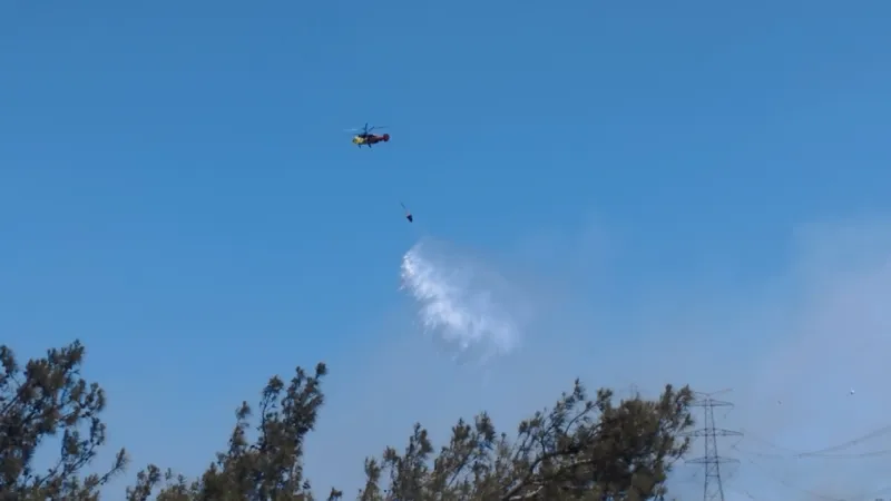 Çeşme'de Yangın Kabusu Sona Erdi! İşte Son Durum