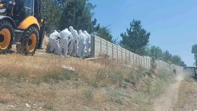 Kene Isırması Can Aldı! Köylüler Şokta!