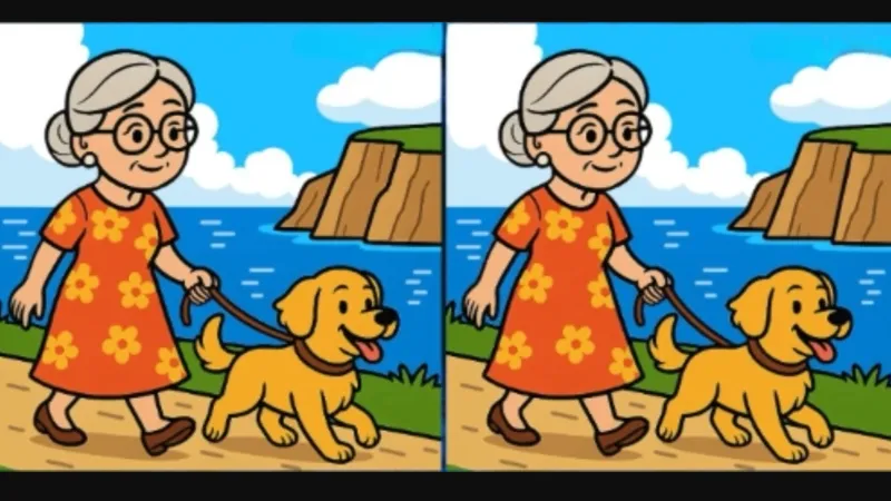 IQ Testi: Köpeği Gezdiren Yaşlı Kadınlardaki Farkı Bul!