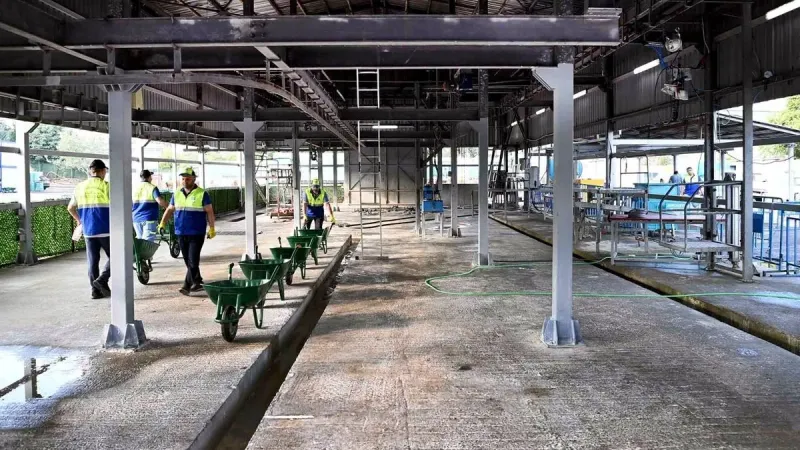 Kurban Bayramı'nda Örnek Belediyecilik! Pazarlar ve Kesim Tesisleri Tam Not Aldı