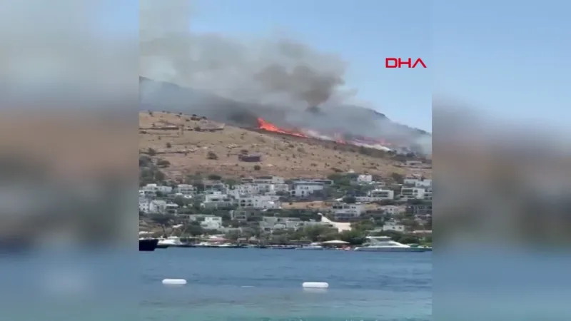 Muğla'da maki yangını