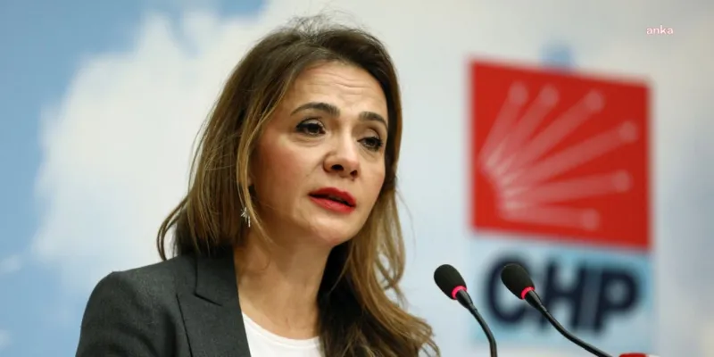 CHP'li Gamze Akkuş İlgezdi, özel hastane çalışanının tahlil parası istenerek ölüm yollanmasına tepki gösterdi