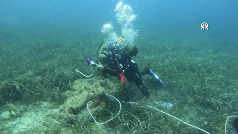 İzmir'de Deniz Altından Ölüm Tuzağı Çıktı! Hayalet Ağ Operasyonu