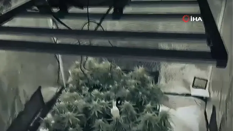 Giysi Dolabından Skunk Serası! Tekirdağ'da Şoke Eden Baskın