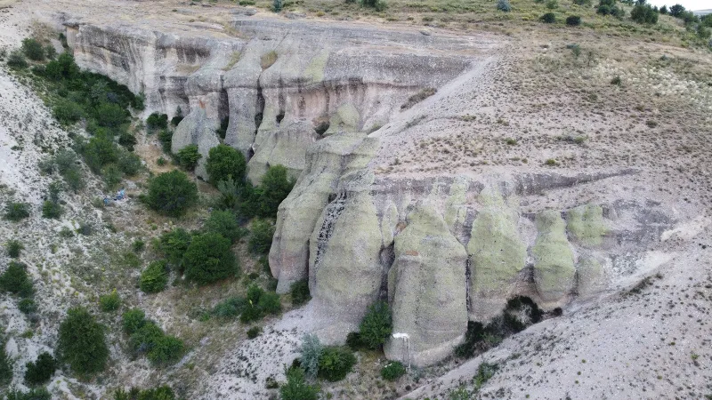 Peri bacalarını andırıyor: Yıllar sonra Yozgat'ta görüntülendi