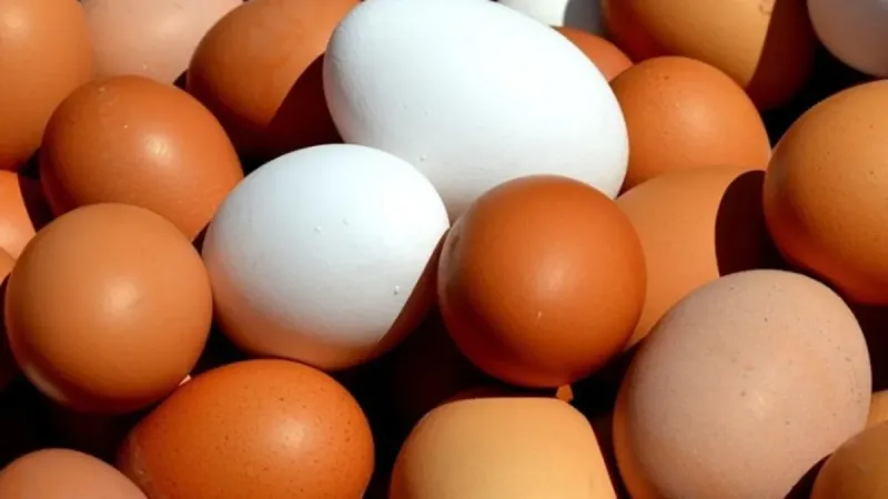 Yumurta İhracatında Şok Gelişme! Resmi Gazete'de Yayınlandı!
