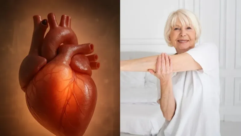 5 Dakikada Kalp Sağlığı! Basit Egzersizlerle Riskleri Azaltın