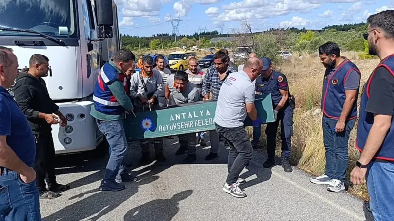 Çöp Kamyonunda Cinayet! Katil Zanlısı: Öldürmeyi Kafama Koydum