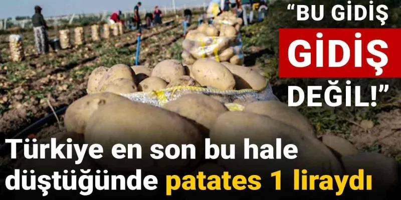 Patates 1 TL miydi? Çiftçi İsyanı: Türkiye Nereye Gidiyor?